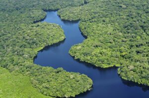 Vue aérienne de la forêt amazonienne, de jour, près de Manaus, capitale de l'Etat brésilien d'amazonas