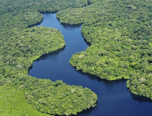 Vue aérienne de la forêt amazonienne, de jour, près de Manaus, capitale de l'Etat brésilien d'amazonas