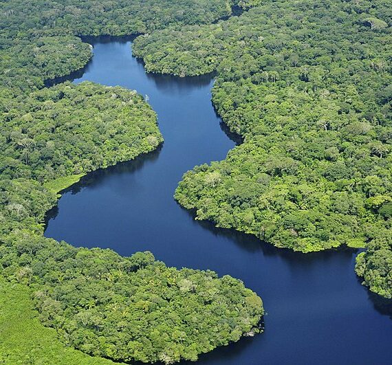 Vue aérienne de la forêt amazonienne, de jour, près de Manaus, capitale de l'Etat brésilien d'amazonas