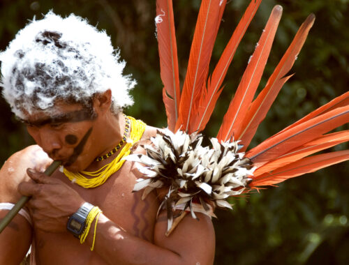 Homme Yanomami peint sur le visage et le corps en rouge urucum et noir genipapo. Il est aussi décoré avec des plumes d'oiseaux