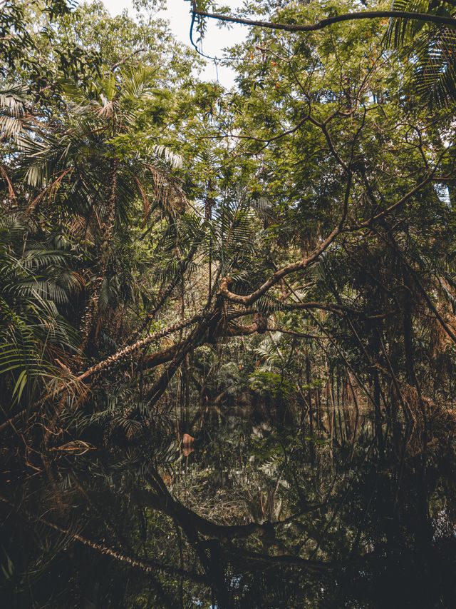 pexels jordy neves 158520533 11216782 NATIVES