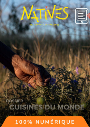 Accès numérique 3 mois Natives N°23