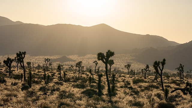 La Californie restitue un littoral sacré aux tribus Pomo : une première historique pour les peuples autochtones 8 41074070 desert 8430551 640 NATIVES