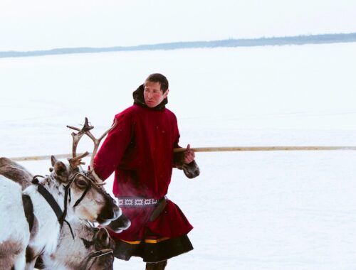 AA0AC520 D3CF 4C60 AFC9 067212C535D2 NATIVES