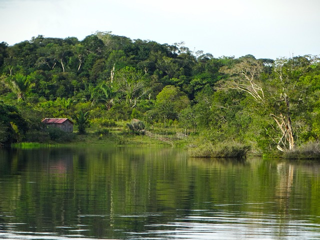 Mashco Piro : le droit de rester à l’écart du monde 8 estevesbae body of water 3228741 640 NATIVES