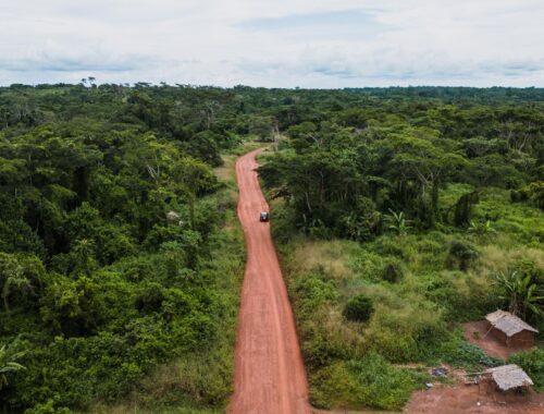 ibogaïne- Gabon