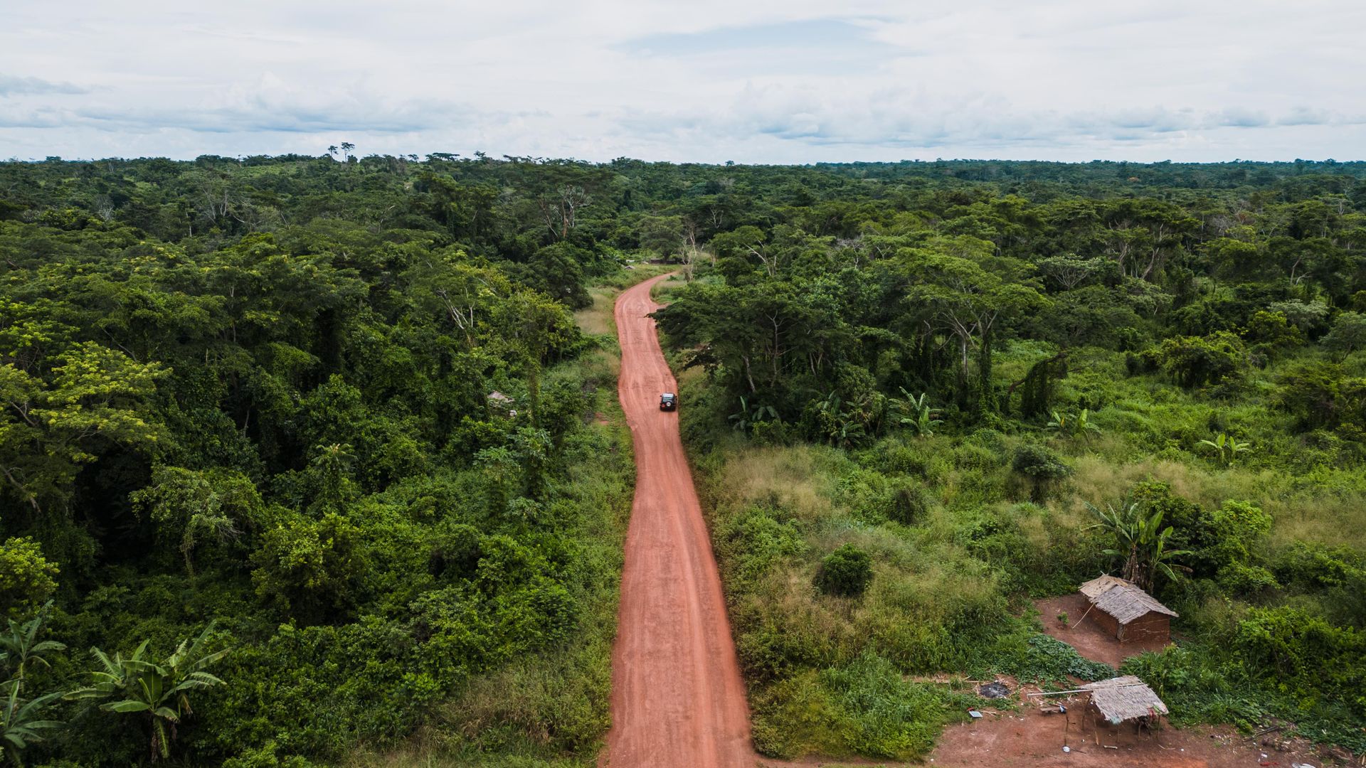 ibogaïne- Gabon