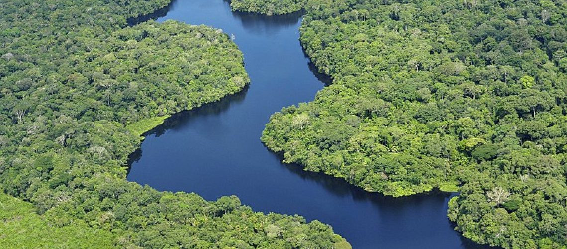 Vue aérienne de la forêt amazonienne, de jour, près de Manaus, capitale de l'Etat brésilien d'amazonas