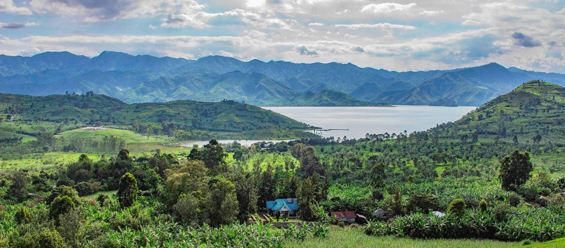 kudra_abdulaziz-nature-8073743_1920